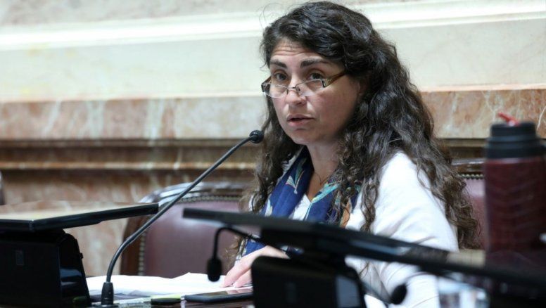 La senadora Ana María Ianni&nbsp;presentó un proyecto de ley que busca declarar la emergencia turística.