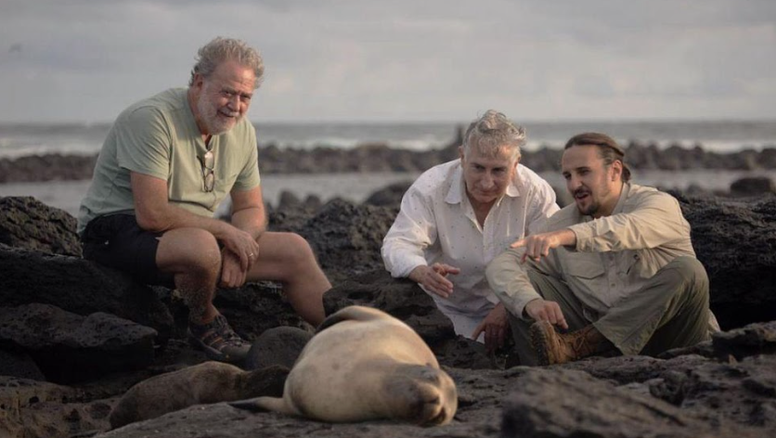 Dentro de la campaña Ecuador, un fenómeno estético, impulsada por la Fundación Identidad Nacional se encuentran dos largometrajes: “A Waking Dream” y “Lions of the Sea” que competirán en los premios Óscar, una gran oportunidad para incentivar el turismo y la inversión en Ecuador. &nbsp;