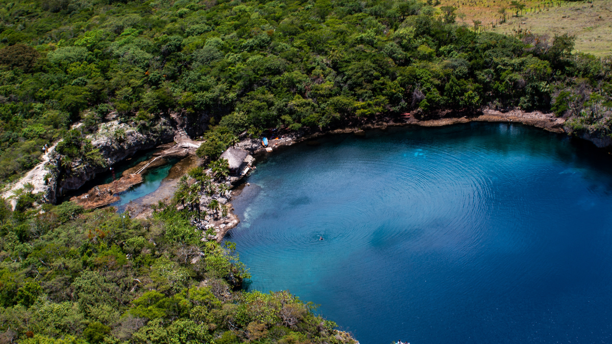 Explora la imponente selva y los cenotes de Chiapas en vacaciones de Semana Santa.