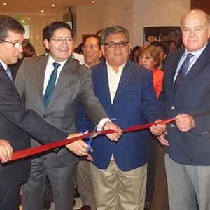 - Ladevi Medios y Soluciones
