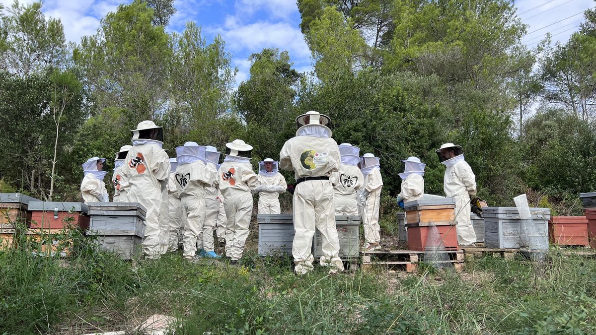 Iryo se ha incorporado al proyecto Smart Green Bees