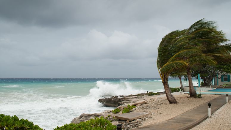 Mientras los fenómenos climáticos extremos son cada vez más recurrentes, el bolsillo sigue primando sobre las consideraciones de sostenibilidad a la hora de comprar servicios turísticos.