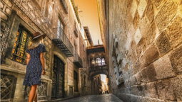 Mapaplus: variadas y atractivas propuestas en el catálogo Elite 2026.