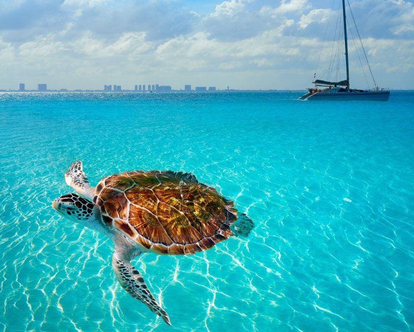 La historia “Amando Costa Mujeres” es un nuevo modelo de convivencia turística, respetuosa con la conservación del medioambiente.
