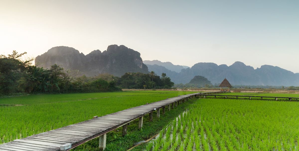 Los campos de arroz en Laos, una propuesta original en los programas de Europamundo por el Sudeste Asi&aacute;tico.