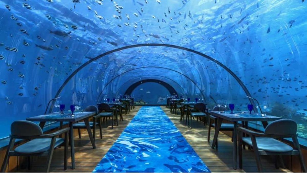 Hurawalhi Maldives alberga 5.8, el restaurante submarino de cristal m&aacute;s grande del mundo.