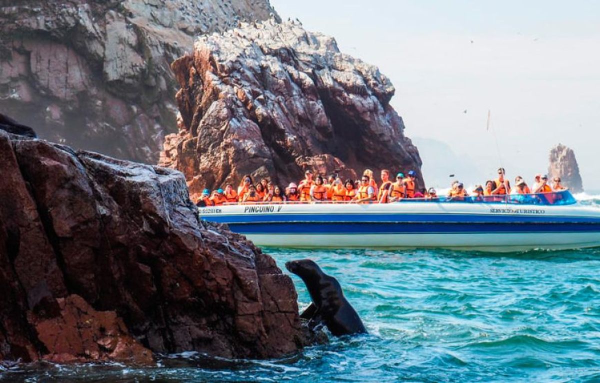 En Paracas, la atracción turística más popular es la visita a las Islas Ballestas para observar a los lobos marinos. - Ladevi Medios y Soluciones En Paracas, la atracción turística más popular es la visita a las Islas Ballestas para observar a los lobos marinos.