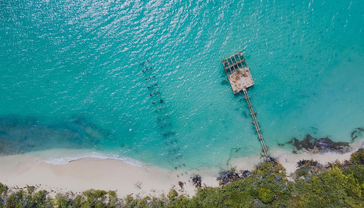 Efecto Bad Bunny en Puerto Rico: qué actividades eligen quienes viajan ...