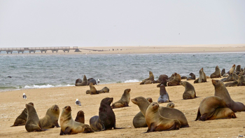 Explora Namibia más allá de los safaris en tu viaje por África.