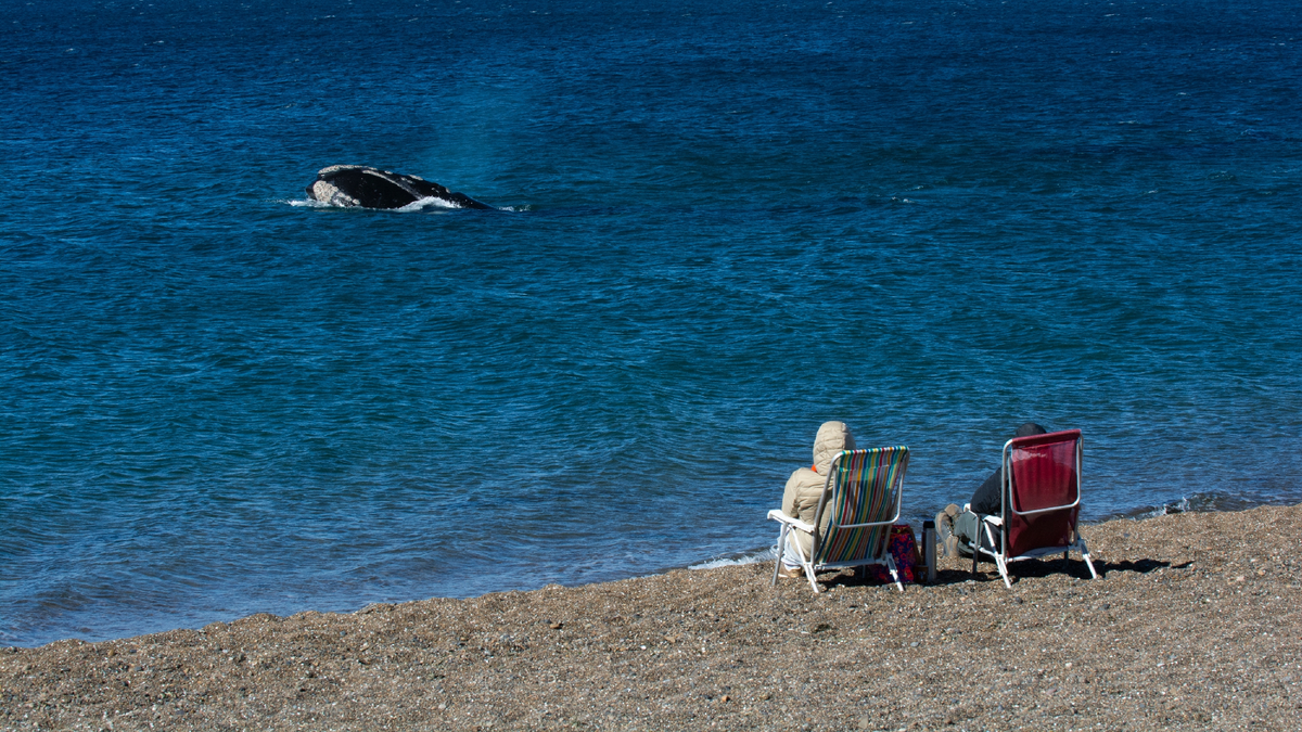 Descubrí estos tres increíbles destinos de la Patagonia para hacer escapadas en el próximo fin de semana largo.