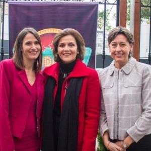 - Ladevi Medios y Soluciones