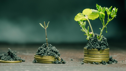 ¿Qué es la bioeconomía y cómo puede impulsar el desarrollo en Colombia?&nbsp;