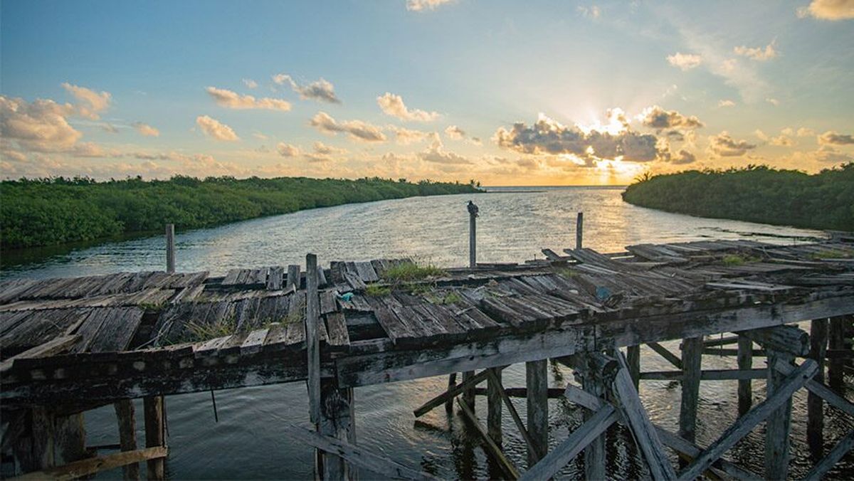 Así puedes acceder a esta bella reserva natural de Quintana Roo.