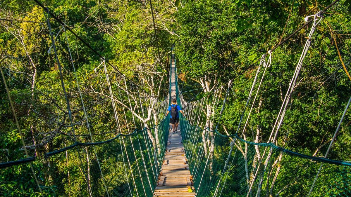 Sky Airline conectará la sierra con la selva en la nueva ruta Cusco-Puerto Maldonado, a partir del 1 de abril. - Ladevi Medios y Soluciones Sky Airline conectará la sierra con la selva en la nueva ruta Cusco-Puerto Maldonado, a partir del 1 de abril.