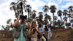 altText(Entre Ríos: 3 destinos para aprovechar el fin de semana largo)}