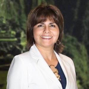 - Ladevi Medios y Soluciones