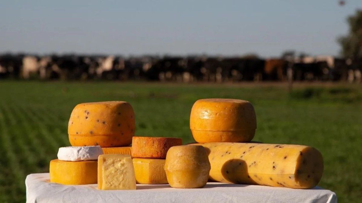 En Suipacha vas a encontrar las mejores propuestas rurales. En Suipacha vas a encontrar las mejores propuestas rurales.