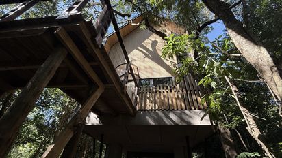 Puerto Iguazú, Misiones: Entre Árboles es una nueva propuesta de Amerian que propone entregarse al lujo en plena naturaleza.