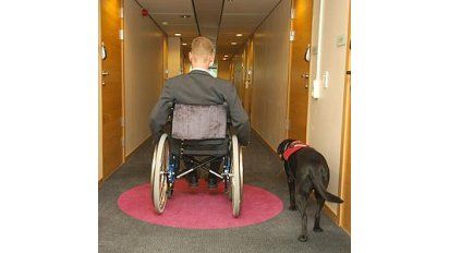 Diseño y servicio universal