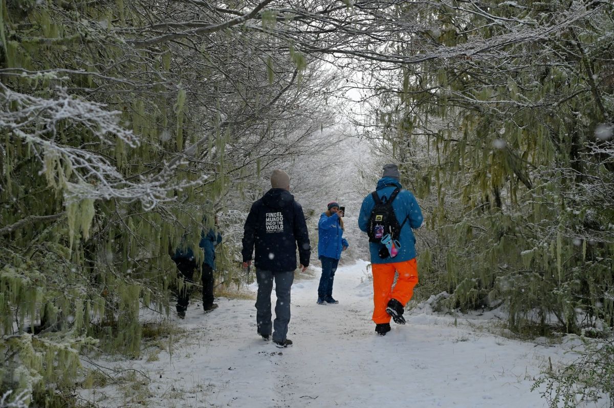 Dólar: En los primero seis meses de 2023, alrededor de 3,5 millones de turistas del extranjero ingresaron a Argentina, lo que generó ingresos estimados por US$ 2.700 millones para las economías regionales. &nbsp; &nbsp;
