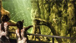 altText(Temaikèn: ¿cuánto cuesta la entrada estas vacaciones de verano 2024?)}