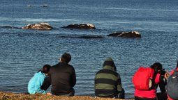 altText(Vacaciones de invierno 2025: 15 actividades gratis para hacer en Puerto Madryn con niños)}