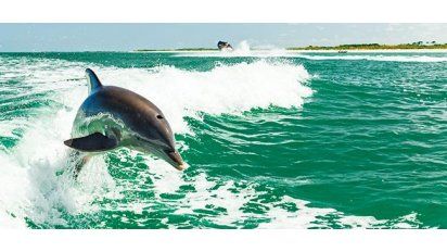 Diversión a la vera del mar