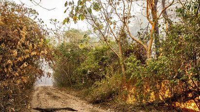 El beneficio económico apunta a monotributistas sociales, monotributistas, trabajadores autónomos y personas jurídicas, con o sin empleados a cargo, de Corrientes.