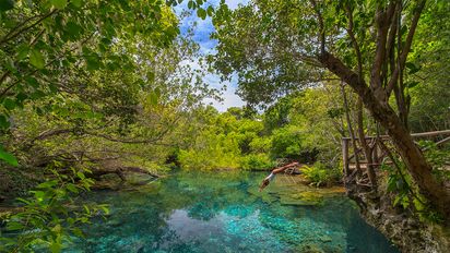 Reserva ecológica Ojos Indígenas.