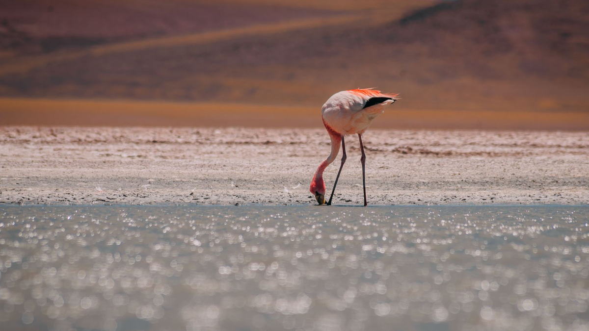 La Rioja brinda hasta 50% de reintegro en servicios turísticos.