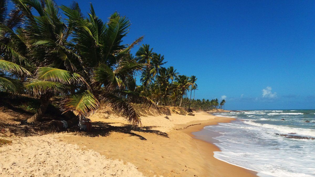 Verano 2026 en Brasil: Costa do Sauípe alberga playas perfectas para deportes acuáticos.