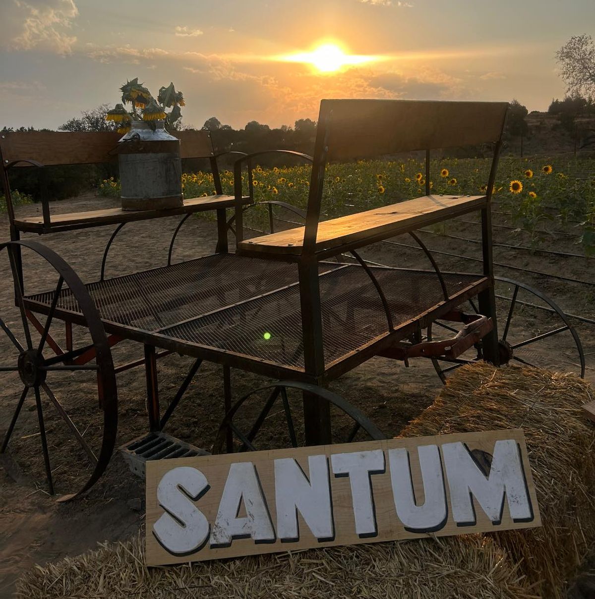 El recorrido vespertino en Satum es ideal para quienes quieren disfrutar del atardecer