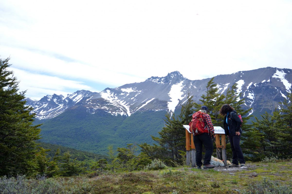 Conocé el Parque Nacional Tierra del Fuego durante tu visita a Ushuaia.