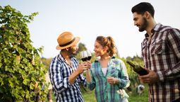 El enoturismo muestra positivas señales de recuperación en las principales regiones vitivinícolas del mundo.