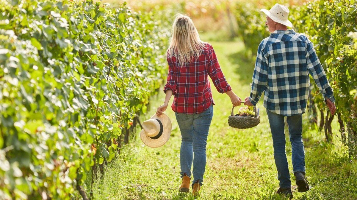 Escapadas a Mendoza: la Vendimia rinde homenaje al trabajo deviñateros y bodegueros de la provincia.&nbsp;