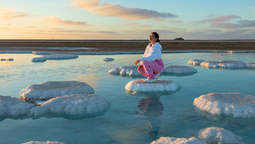 Disfruta estas experiencias imperdibles en la península de Baja California.