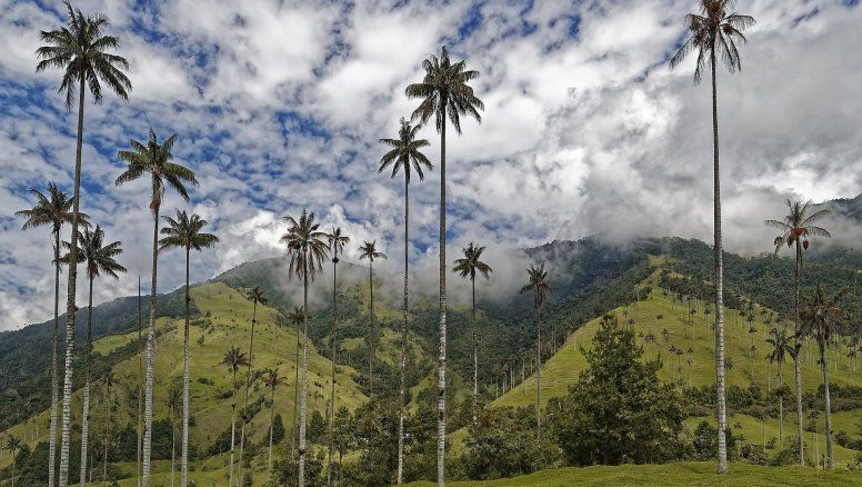 ProColombia reveló las cinco tendencias para el turismo en 2021. 