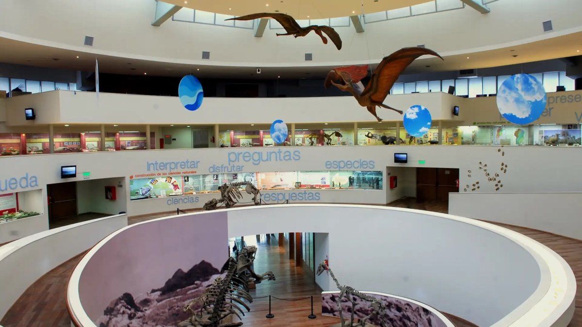 El Museo de Ciencias Naturales ofrece talleres para los más chicos. El Museo de Ciencias Naturales ofrece talleres para los más chicos.