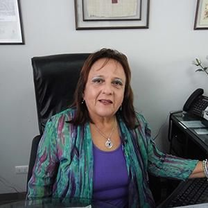 - Ladevi Medios y Soluciones