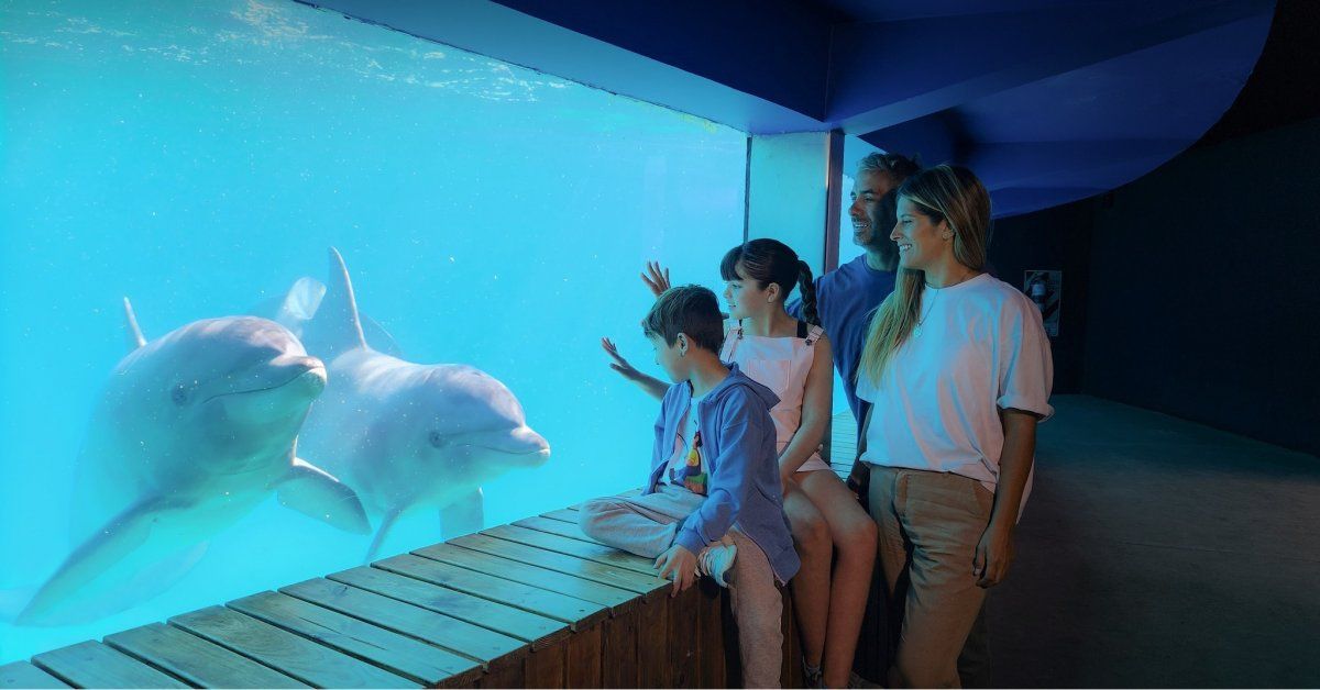 San Clemente del Tuyú y Mundo Marino son uno de los destinos más elegidos por las familias para hacer escapadas por Buenos Aires.