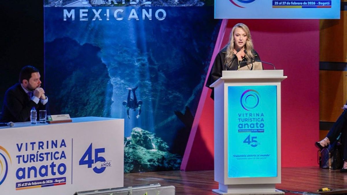 Paula Cortés, presidenta ejecutiva de Anato.