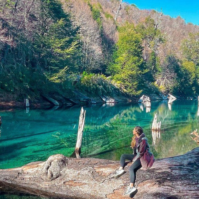 Parque Nacional Conguillío, administrado por Conaf en la Región de la Araucanía - Ladevi Medios y Soluciones Parque Nacional Conguillío, administrado por Conaf en la Región de la Araucanía