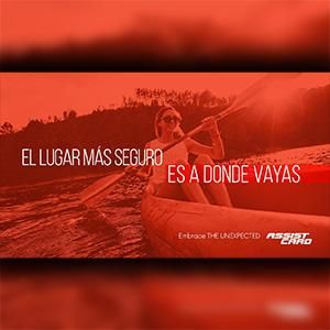 - Ladevi Medios y Soluciones