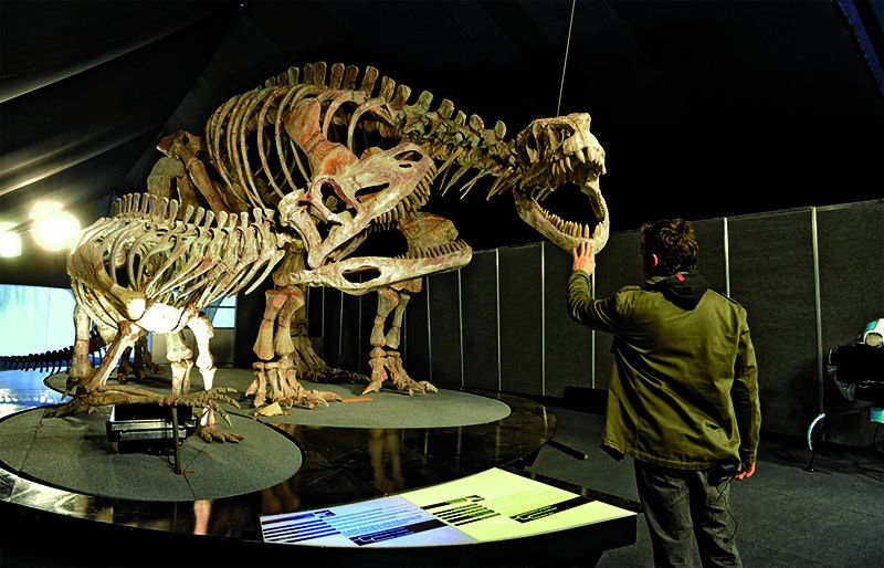 Centro de interpretación en el Parque Provincial Ischigualasto.