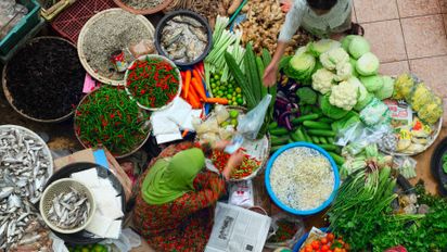 Malasia y su gastronomía: un recorrido lleno de sabor por sus regiones