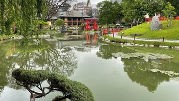 Jardín Japonés: te contamos cuánto costará el mítico espacio ubicado en el barrio de Palermo en la Ciudad de Buenos Aires durante estas vacaciones de invierno.