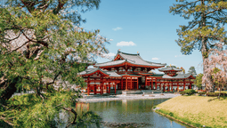 Vacaciones en Japón: los imperdibles del destino para disfrutar durante tu visita.&nbsp;
