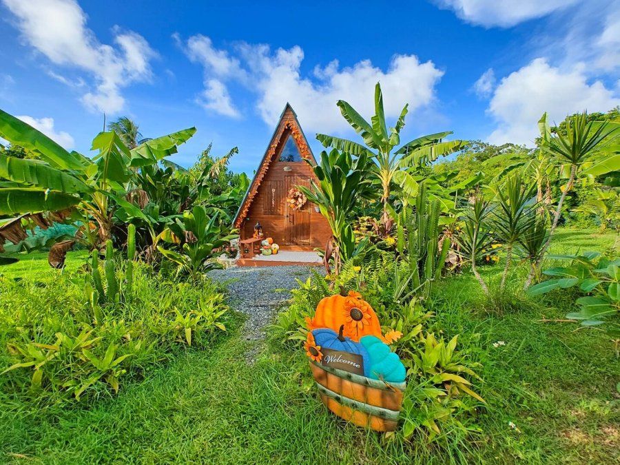 Puerto Rico y su berraca Demure. 