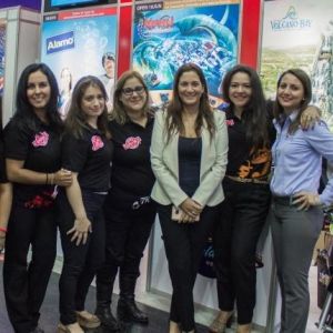 - Ladevi Medios y Soluciones