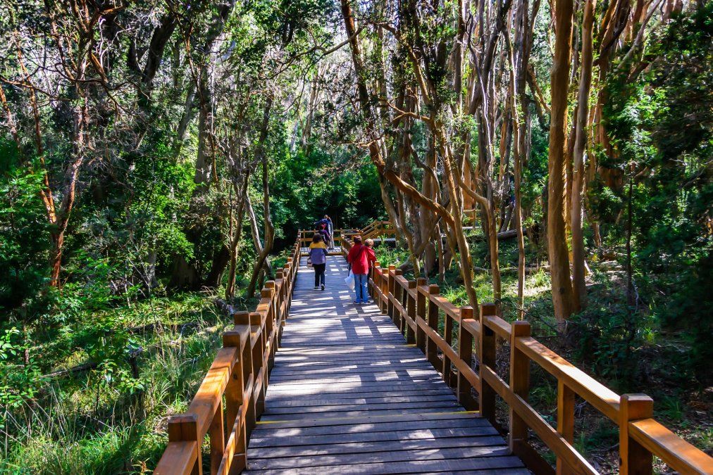 Los turistas pueden elegir realizar la excursi&oacute;n Circuito Chico de Bariloche por sus propios medios o mediante agencias de viaje especializadas.